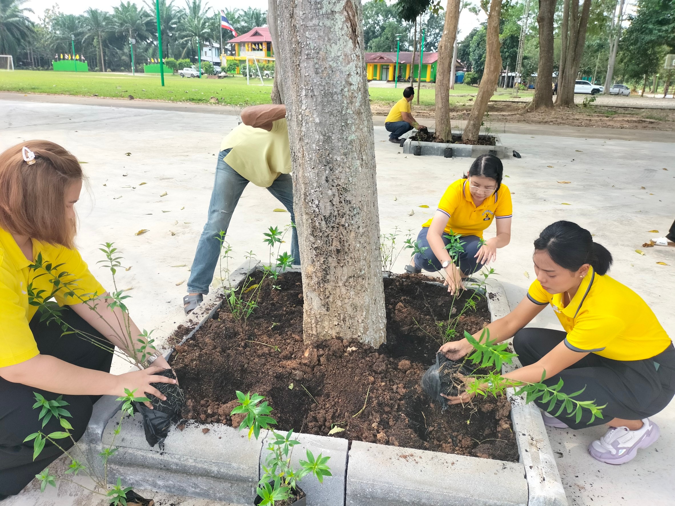 วันอังคารที่ 12 ธันวาคม 2566 องค์การบริหารส่วนตำบลท่าข้ามได้จัดโครงการปลูกต้นไม้ เพื่อสำนึกในพระมหากรุณาธิคุณในโอกาสวันสำคัญของชาติไทย เนื่องในวันคล้ายวันพระบรมราชสมภพ พระบาทสมเด็จพระบรมชนกาธิเบศร มหาภูมิพลอดุลยเดชมหาราช บรมนาถบพิตร วันชาติ และวันพ่อแห่งชาติ 5 ธันวาคม 2566
ณ องค์การบริหารส่วนตำบลท่าข้าม อ.พุนพิน จ.สุราษฎร์ธานี