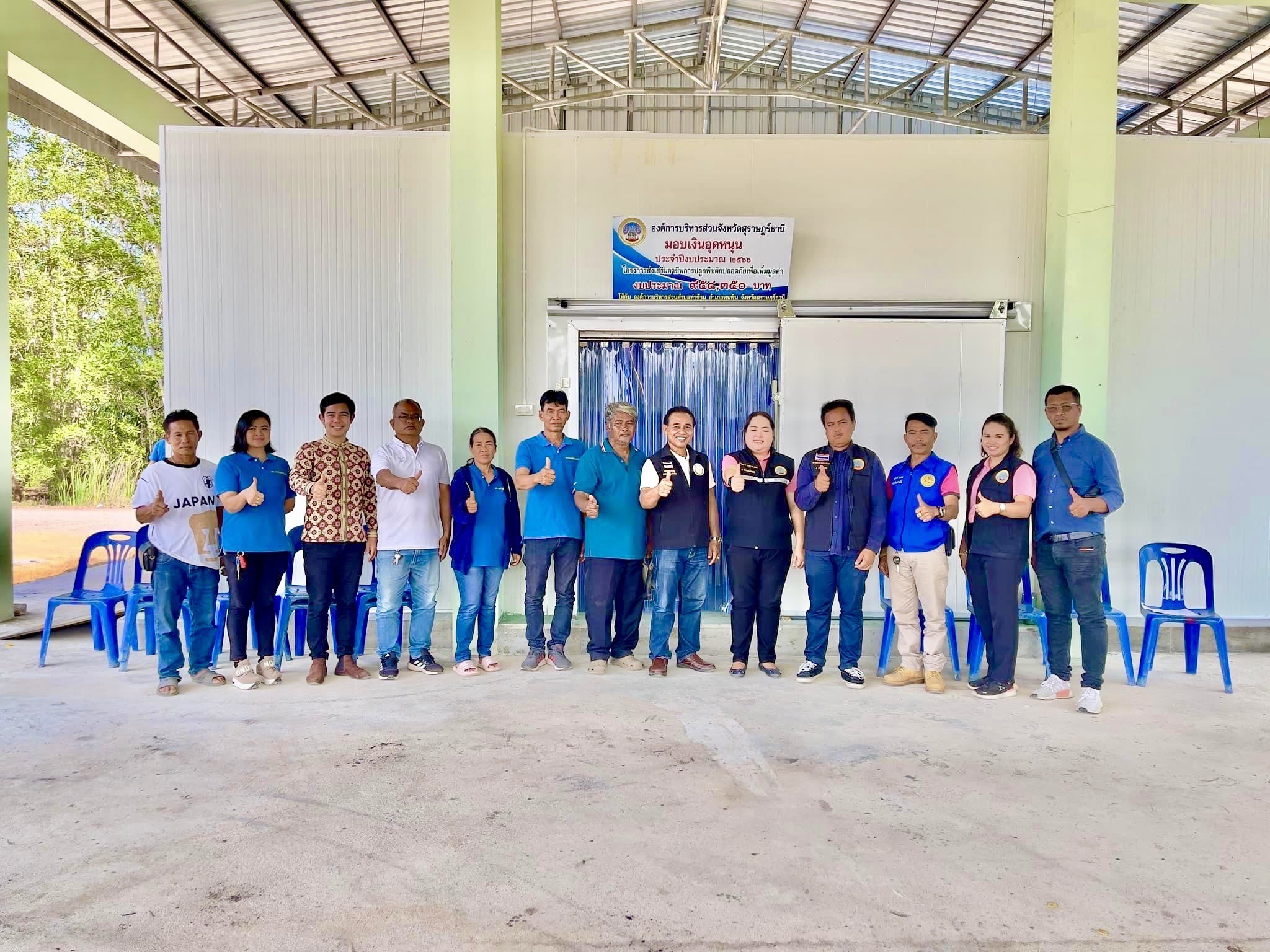 โครงการส่งเสริมอาชีพการปลูกพืชผักปลอดภัยเพื่อเพิ่มมูลค่าขององค์การบริหารส่วนตำบลท่าข้าม